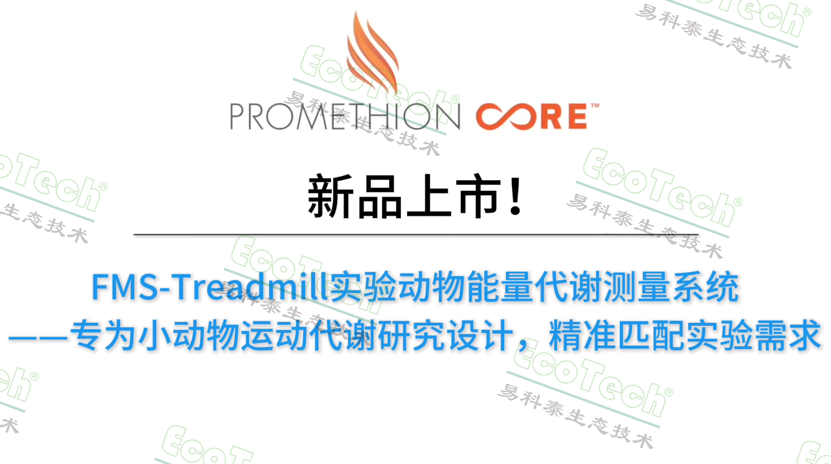 Z6��������ʱ���й����ٷ���վ