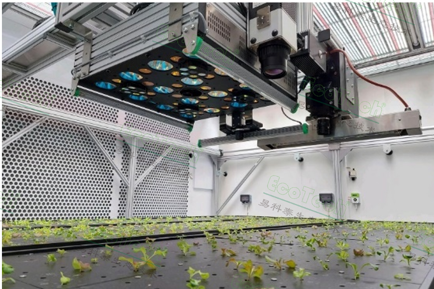 Z6��������ʱ���й����ٷ���վ