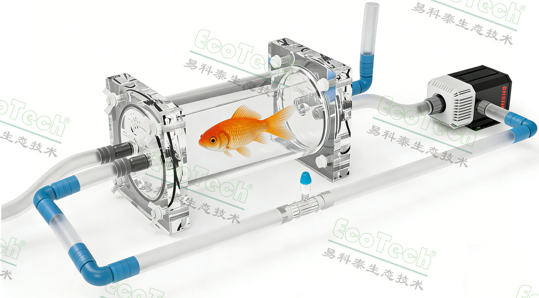 Z6��������ʱ���й����ٷ���վ