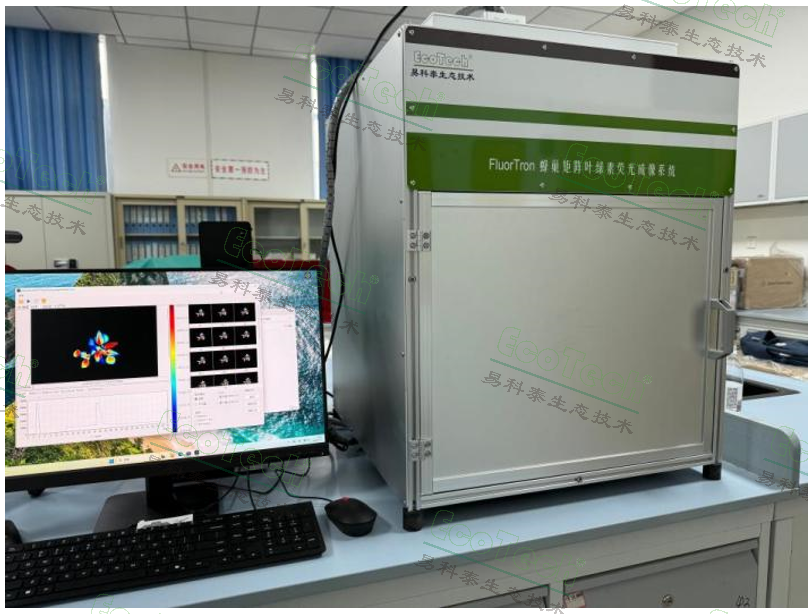 Z6��������ʱ���й����ٷ���վ