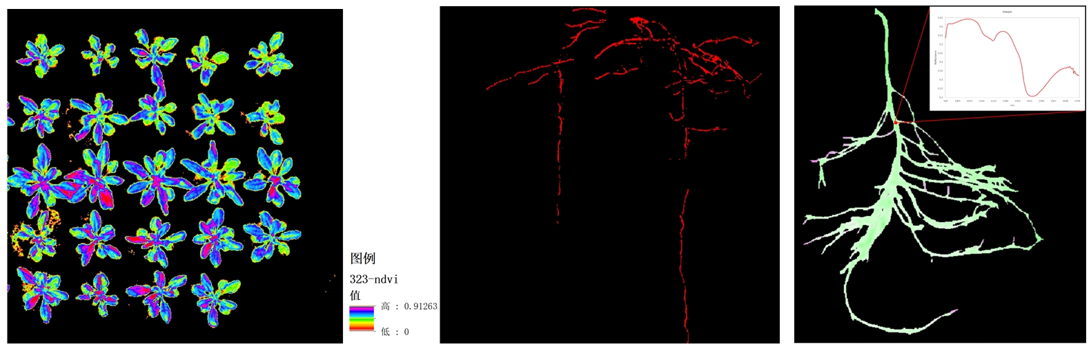 Z6¡¤×ðÁú¿Ê±¡¸Öйú¡¹¹Ù·½ÍøÕ¾