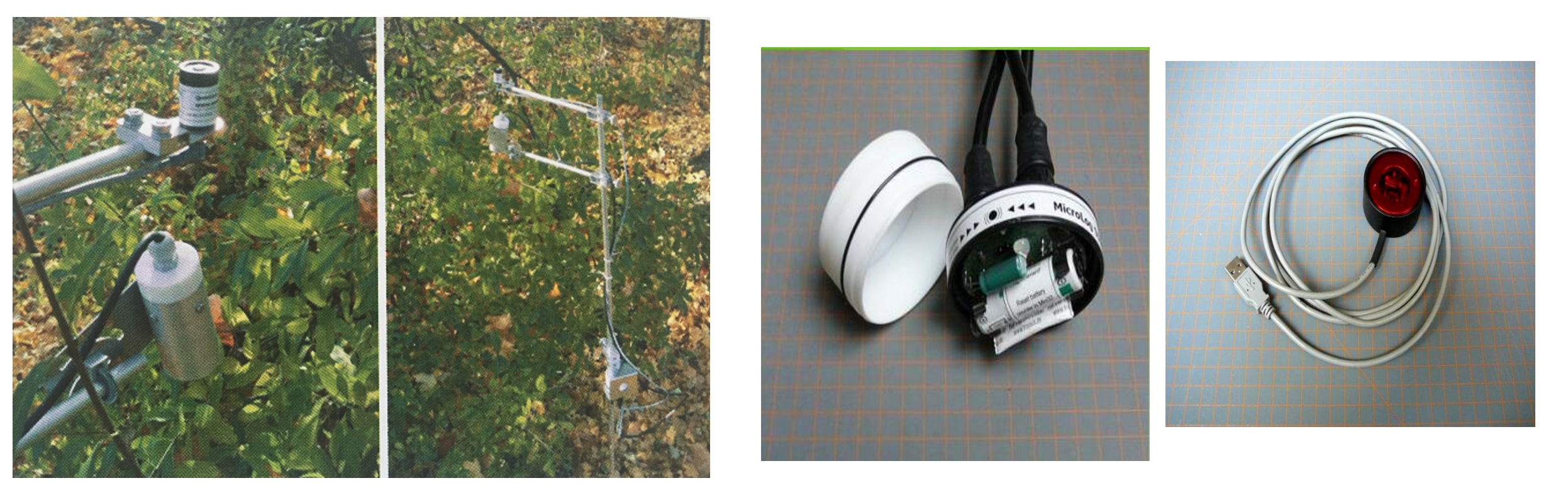 Z6��������ʱ���й����ٷ���վ