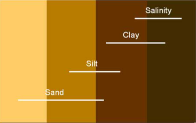 Z6��������ʱ���й����ٷ���վ