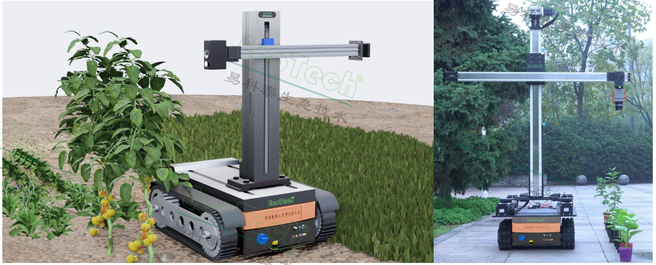 Z6��������ʱ���й����ٷ���վ