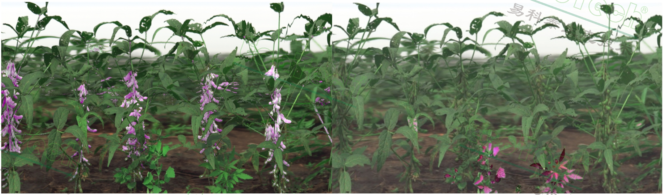 Z6��������ʱ���й����ٷ���վ