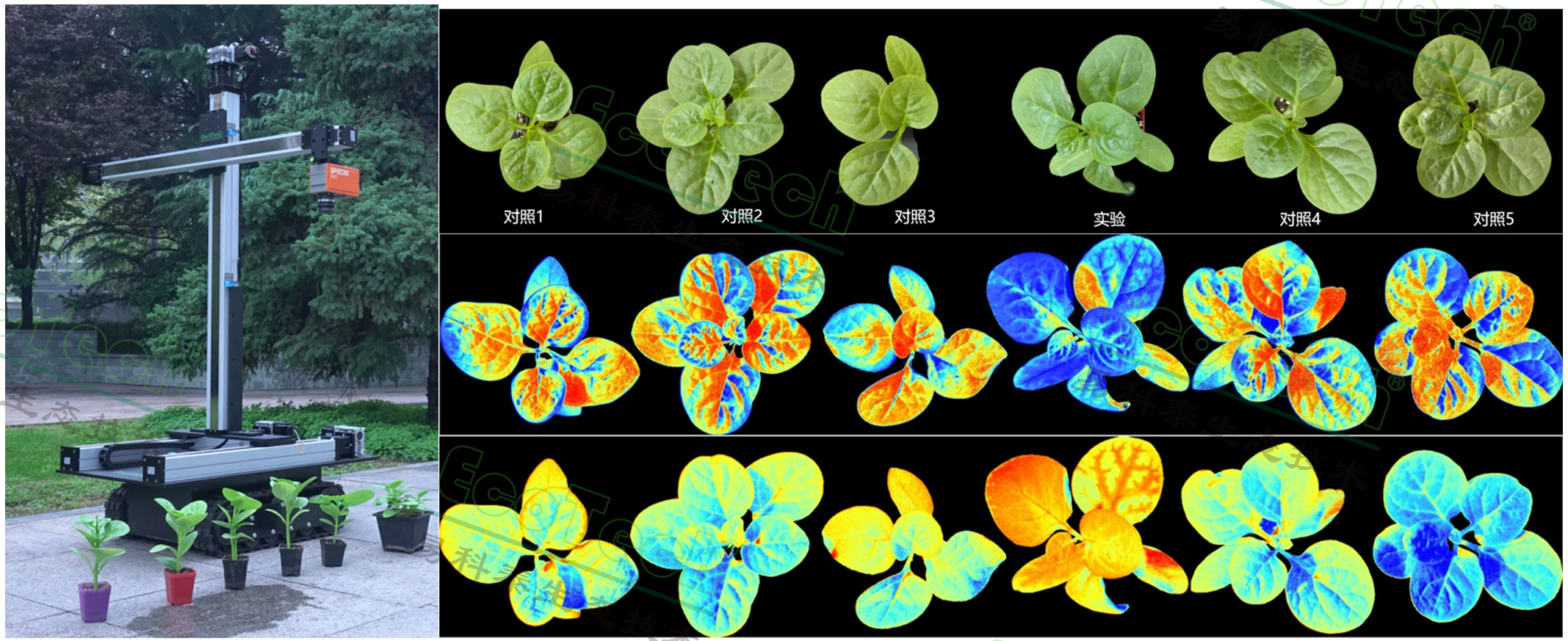 Z6��������ʱ���й����ٷ���վ