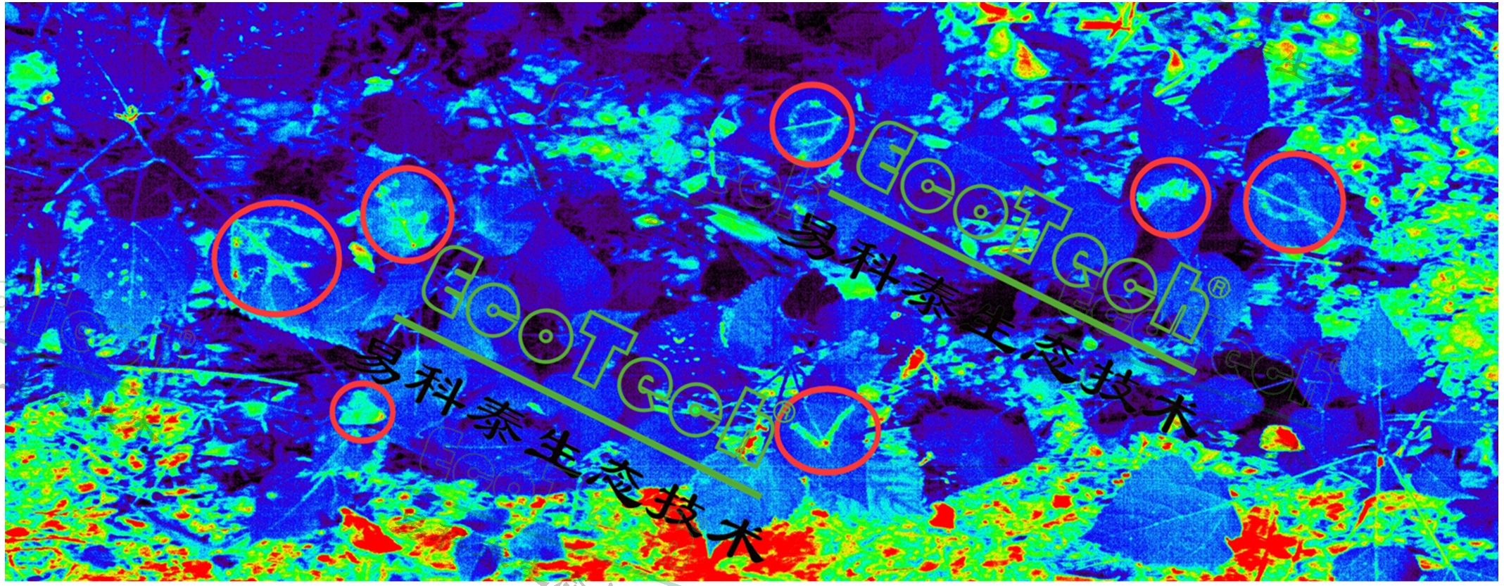 Z6��������ʱ���й����ٷ���վ