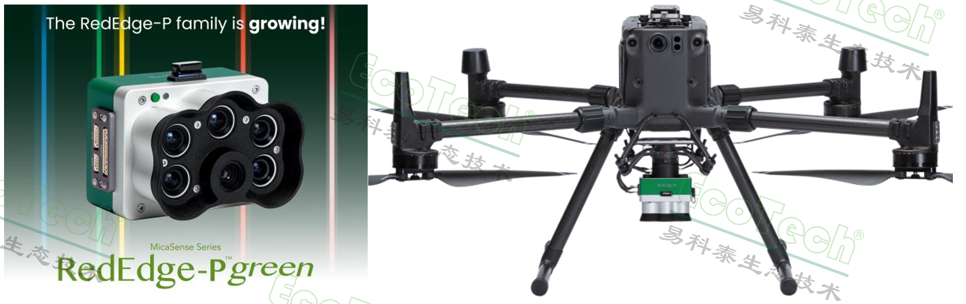 Z6��������ʱ���й����ٷ���վ