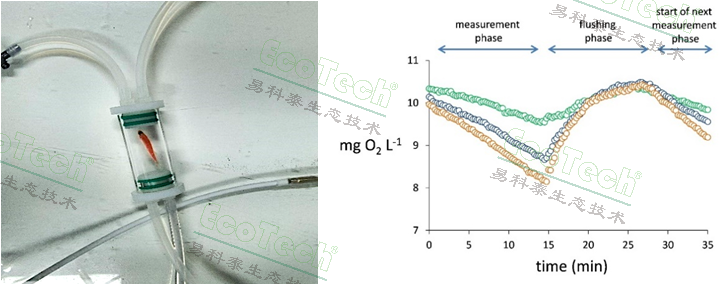 Z6��������ʱ���й����ٷ���վ
