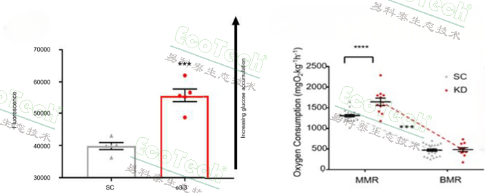 Z6��������ʱ���й����ٷ���վ
