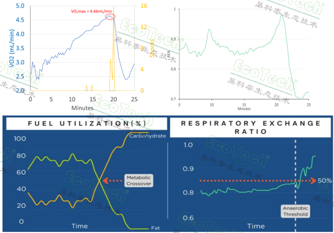 Z6��������ʱ���й����ٷ���վ