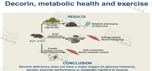 Z6��������ʱ���й����ٷ���վ