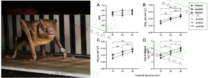 Z6��������ʱ���й����ٷ���վ