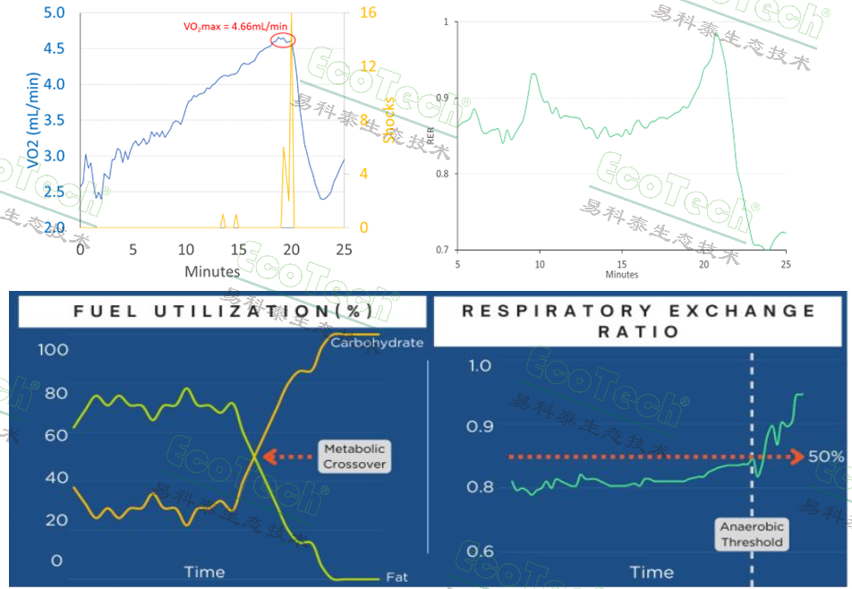Z6��������ʱ���й����ٷ���վ