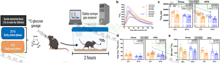 Z6��������ʱ���й����ٷ���վ