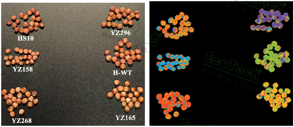 Z6��������ʱ���й����ٷ���վ