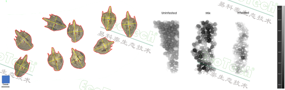 Z6��������ʱ���й����ٷ���վ