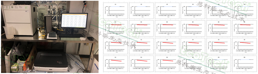 Z6��������ʱ���й����ٷ���վ
