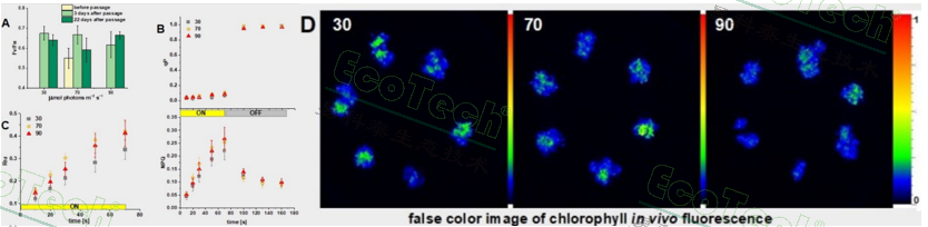 Z6��������ʱ���й����ٷ���վ