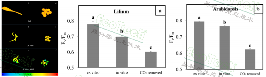 Z6��������ʱ���й����ٷ���վ