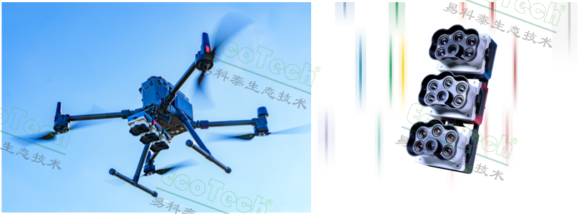 Z6��������ʱ���й����ٷ���վ