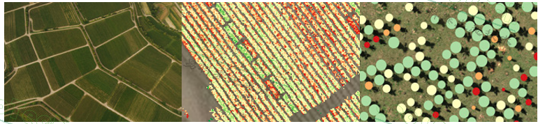 Z6��������ʱ���й����ٷ���վ