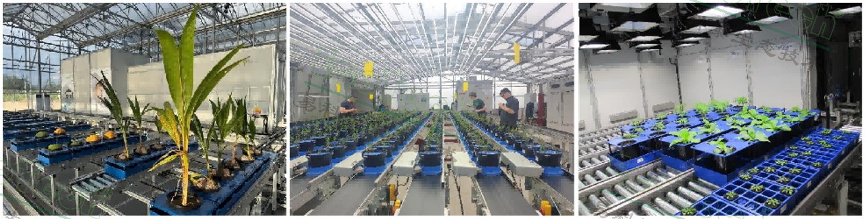 Z6��������ʱ���й����ٷ���վ