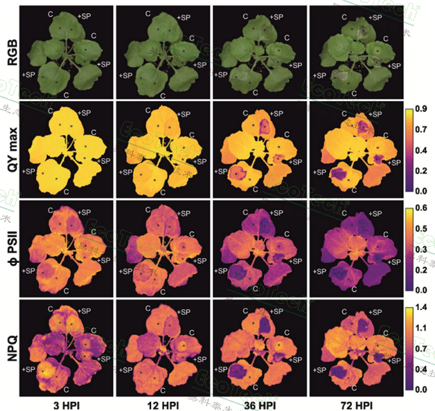 Z6��������ʱ���й����ٷ���վ