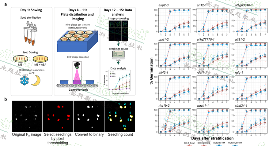 Z6��������ʱ���й����ٷ���վ