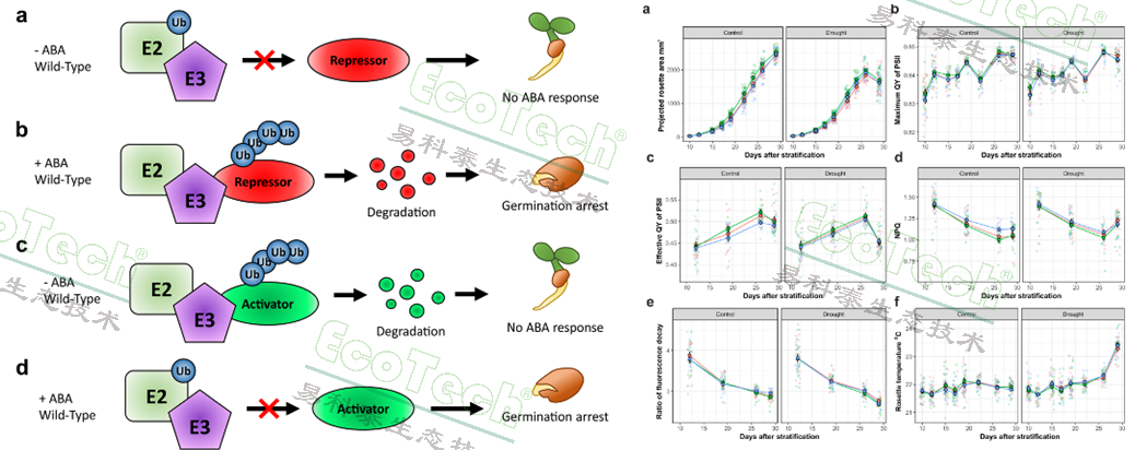 Z6��������ʱ���й����ٷ���վ