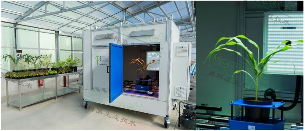 Z6��������ʱ���й����ٷ���վ