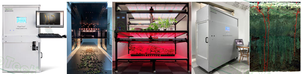 Z6��������ʱ���й����ٷ���վ