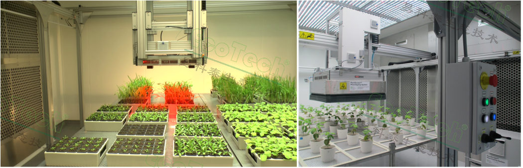 Z6��������ʱ���й����ٷ���վ