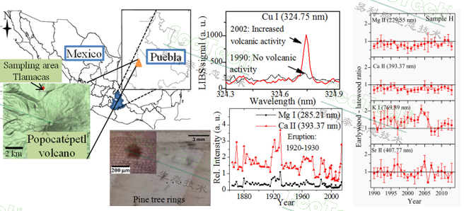 Z6��������ʱ���й����ٷ���վ