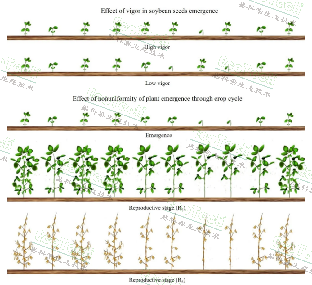 Z6��������ʱ���й����ٷ���վ