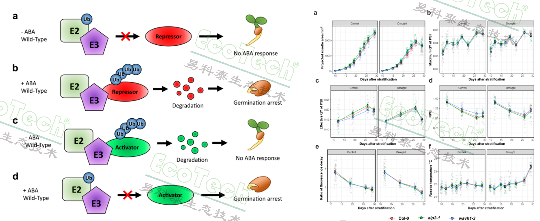 Z6��������ʱ���й����ٷ���վ