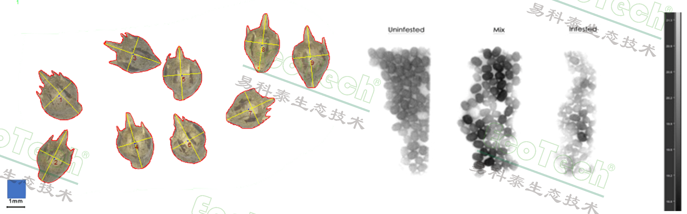 Z6��������ʱ���й����ٷ���վ