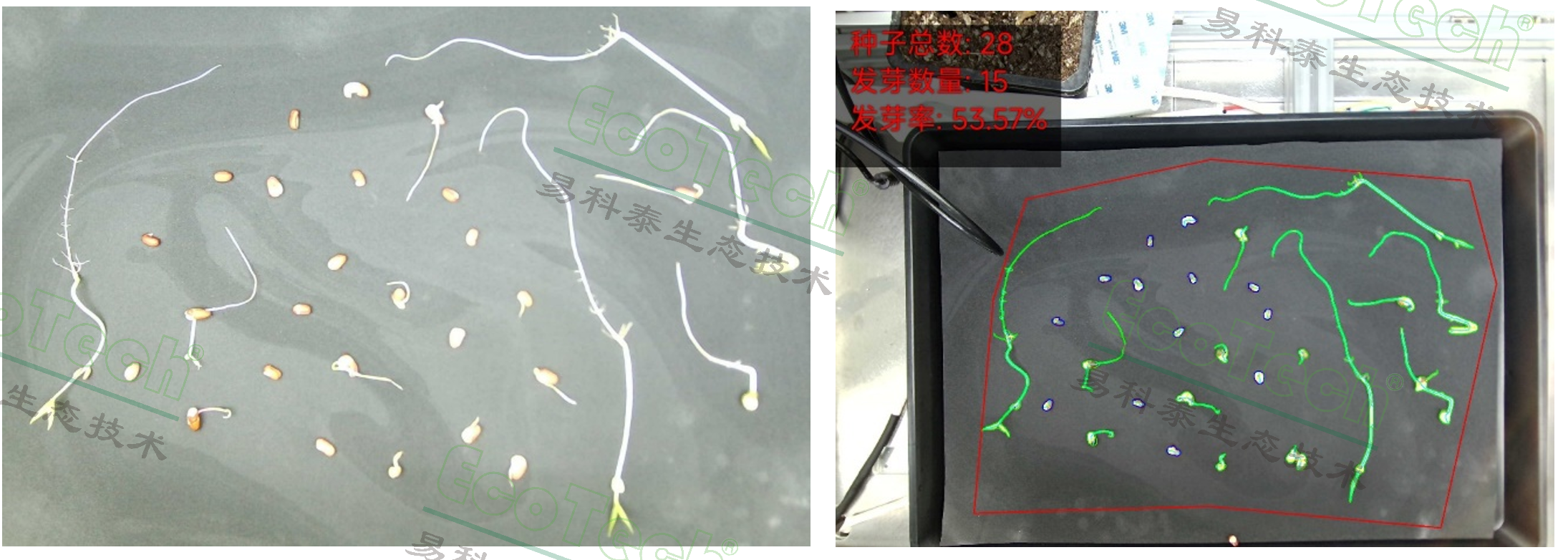 Z6��������ʱ���й����ٷ���վ