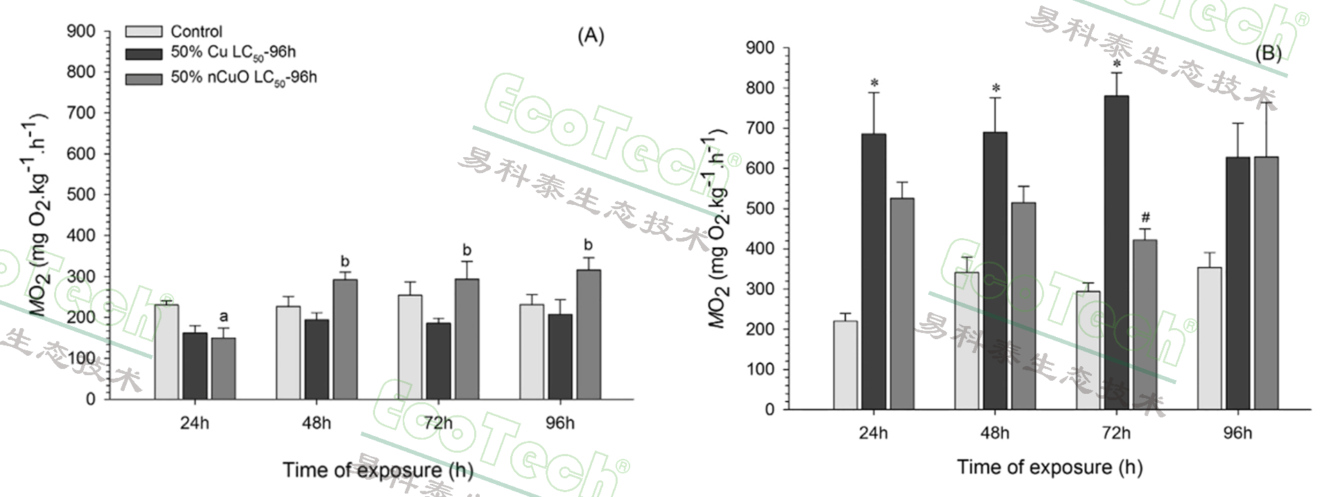 Z6��������ʱ���й����ٷ���վ