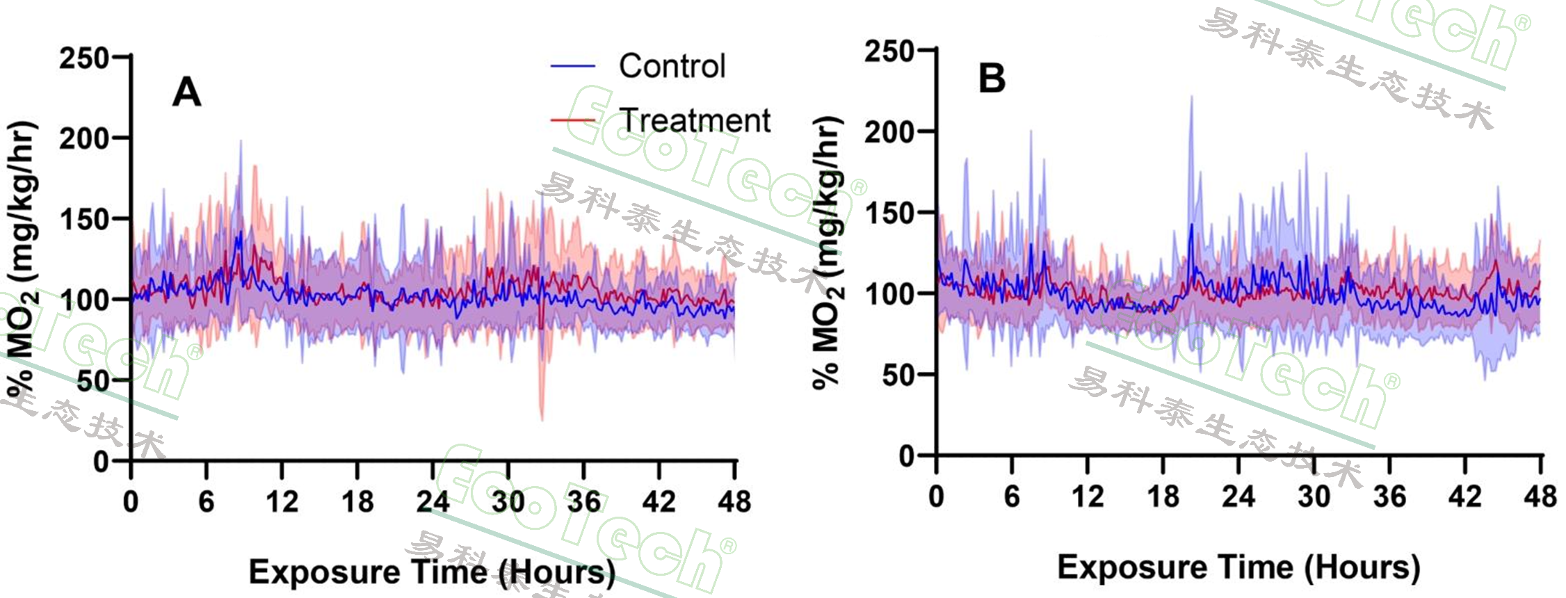 Z6��������ʱ���й����ٷ���վ