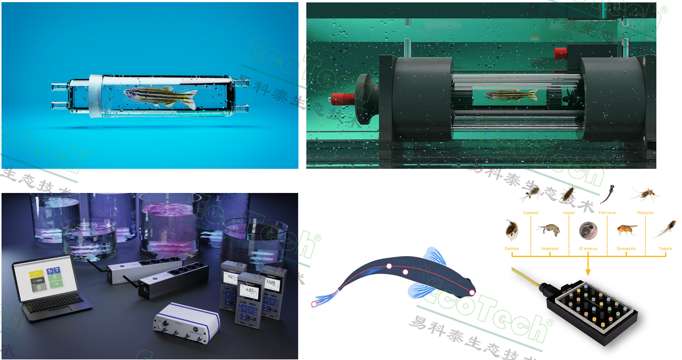 Z6��������ʱ���й����ٷ���վ