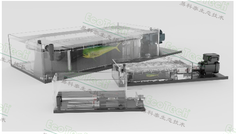 Z6��������ʱ���й����ٷ���վ