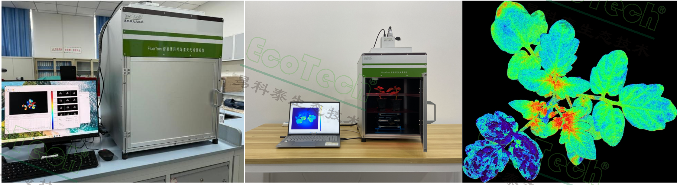 Z6��������ʱ���й����ٷ���վ