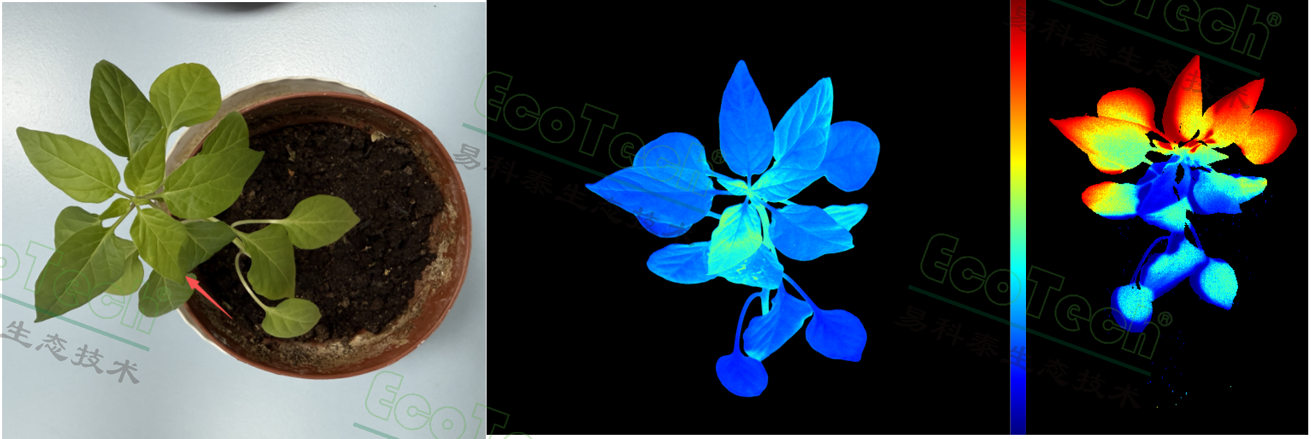 Z6��������ʱ���й����ٷ���վ