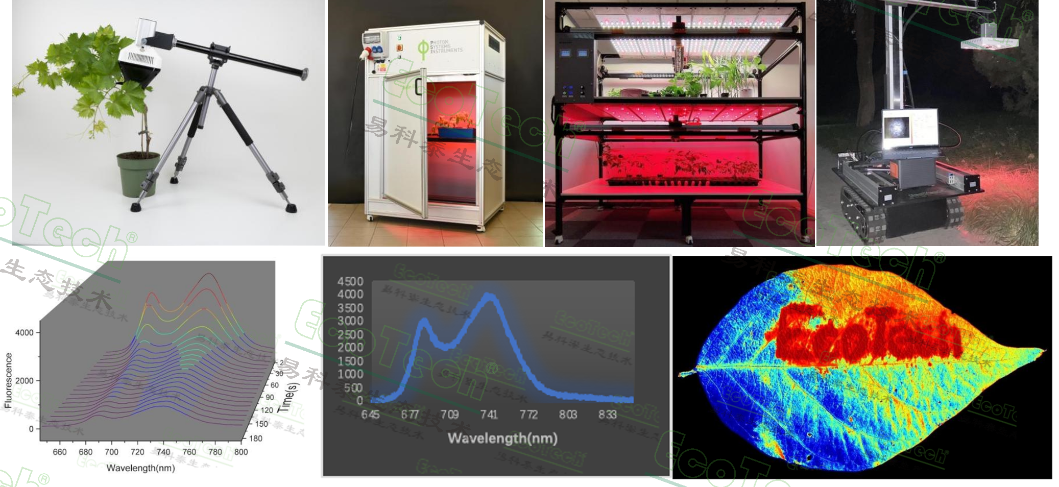 Z6��������ʱ���й����ٷ���վ