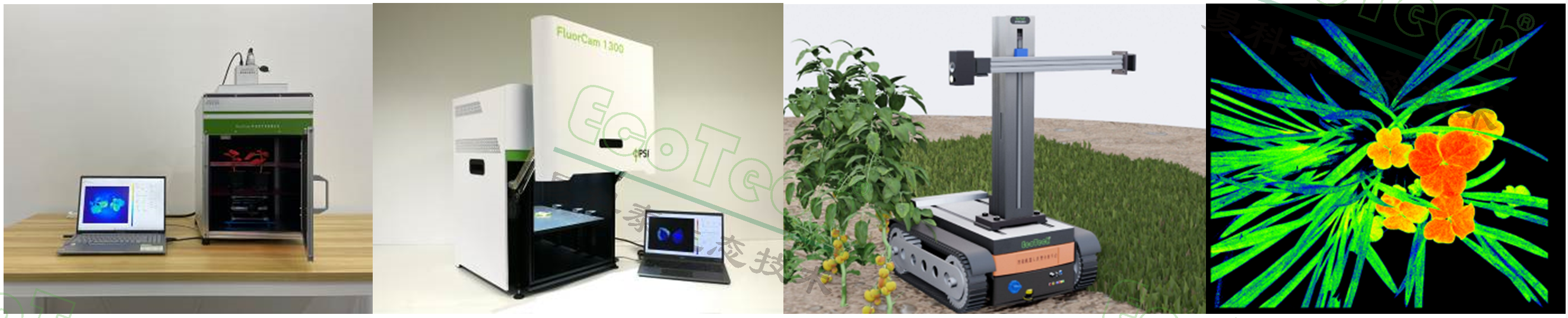 Z6��������ʱ���й����ٷ���վ