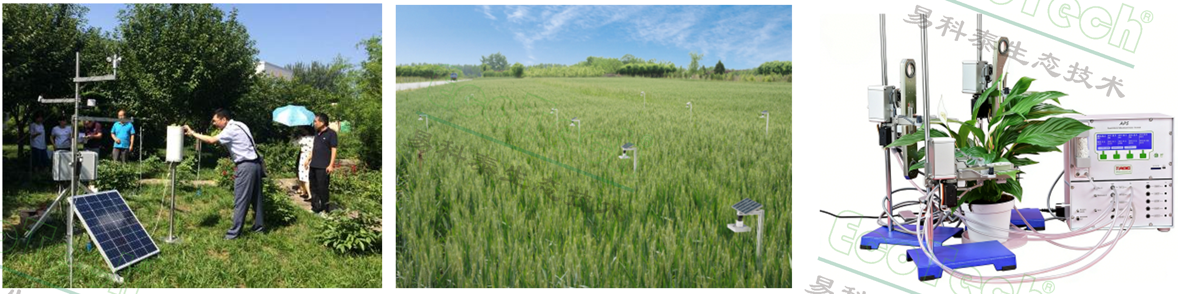 Z6��������ʱ���й����ٷ���վ