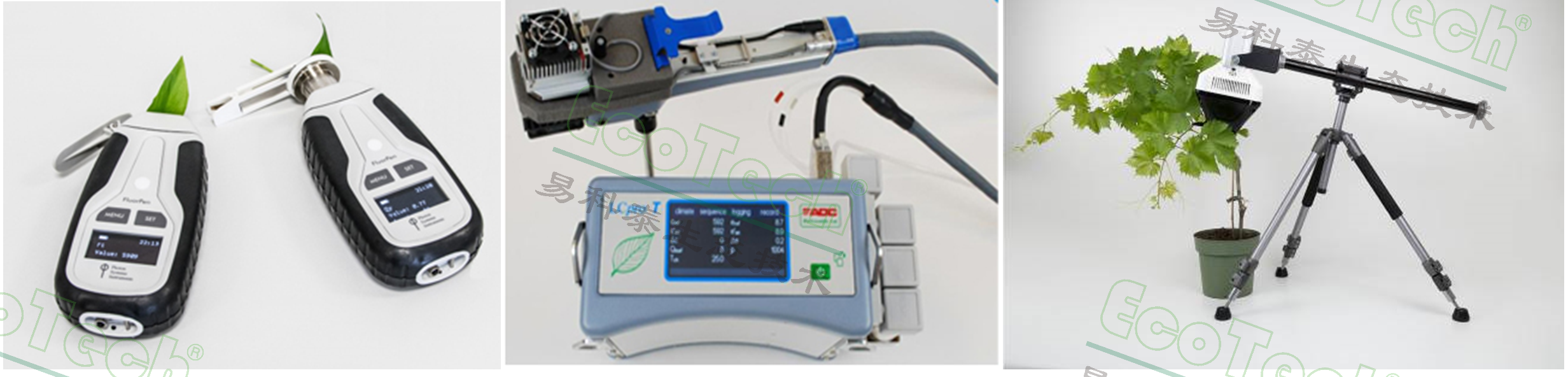 Z6��������ʱ���й����ٷ���վ