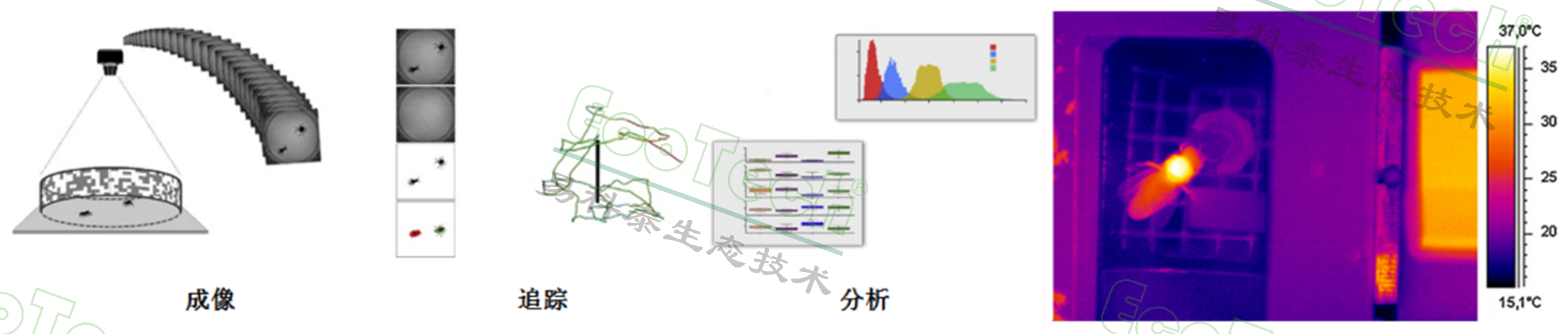 Z6��������ʱ���й����ٷ���վ