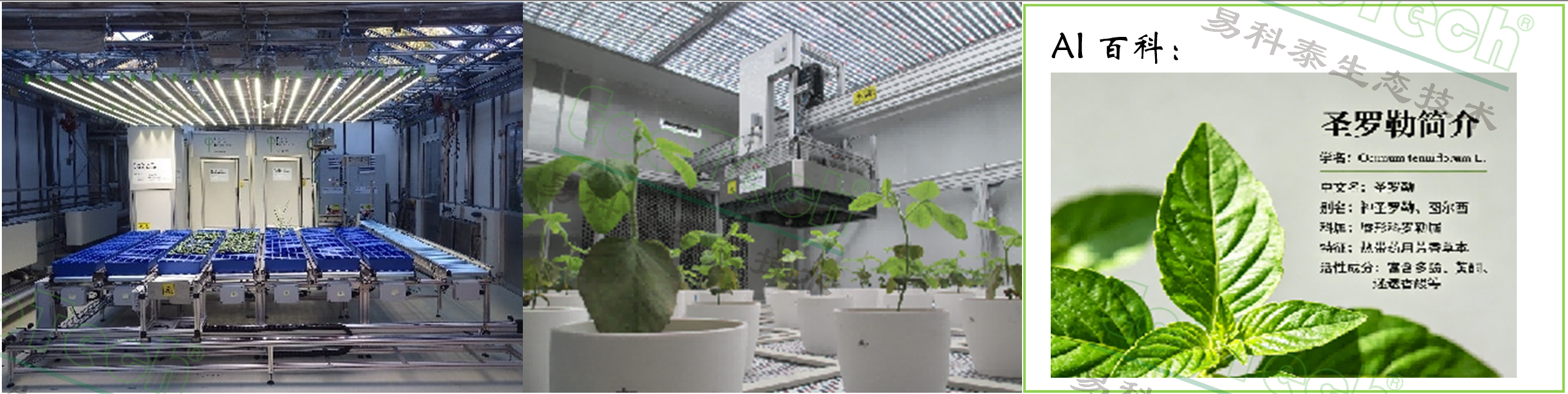 Z6��������ʱ���й����ٷ���վ